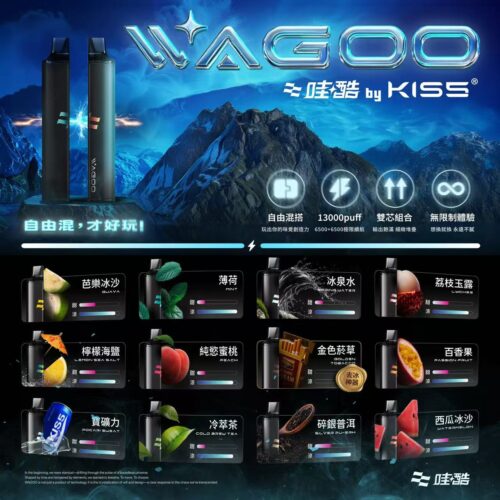 WAGOO哇酷拋棄式6500口10送一