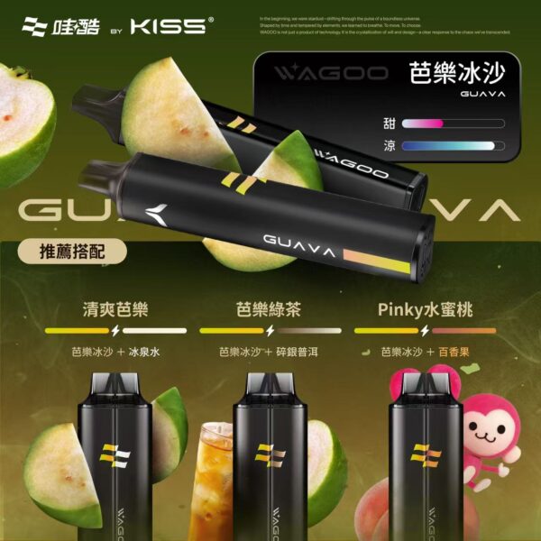 WAGOO哇酷拋棄式6500口10送一